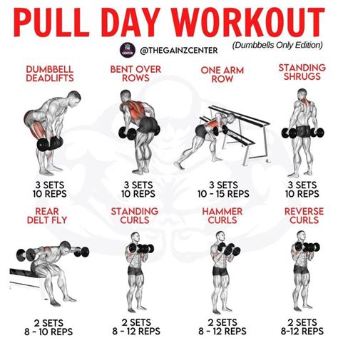 The Best Pull Day Workout Routine for Size and Strength